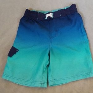 Ombre Swim Trunks
